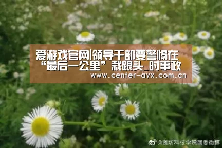 爱游戏官网|领导干部要警惕在“最后一公里”栽跟头_时事政治_中公教育网(图2) 爱游戏app