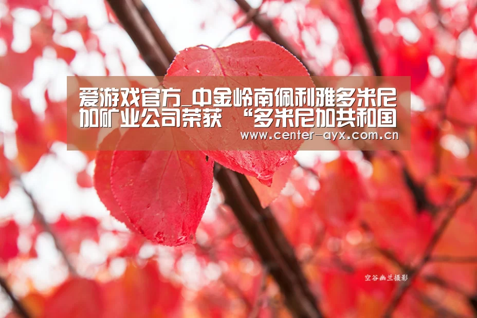 爱游戏官方_中金岭南佩利雅多米尼加矿业公司荣获 “多米尼加共和国出口信得过企业”资质(图3) 爱游戏app
