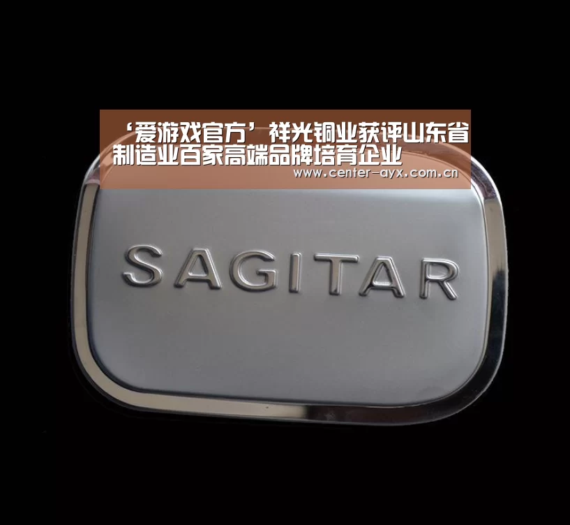 爱游戏官方