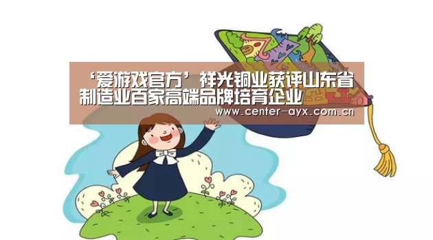 爱游戏官方