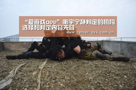“爱游戏app”衡宇宁静判定的机构选择和判定内容先容(图1) 爱游戏官网