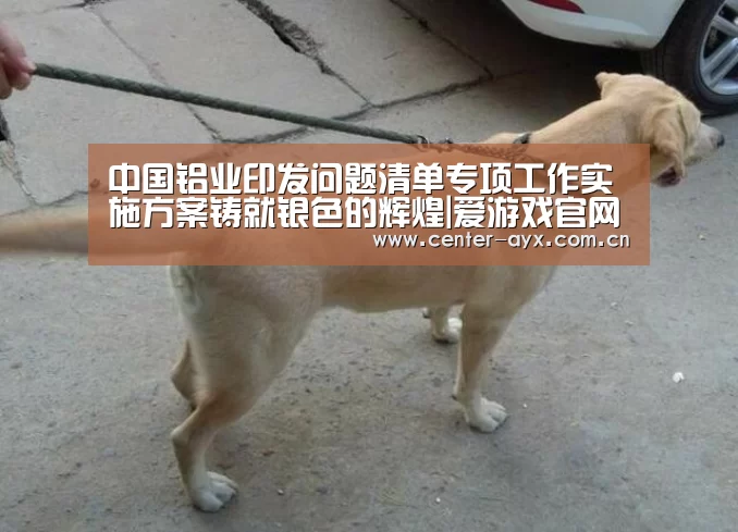 爱游戏体育