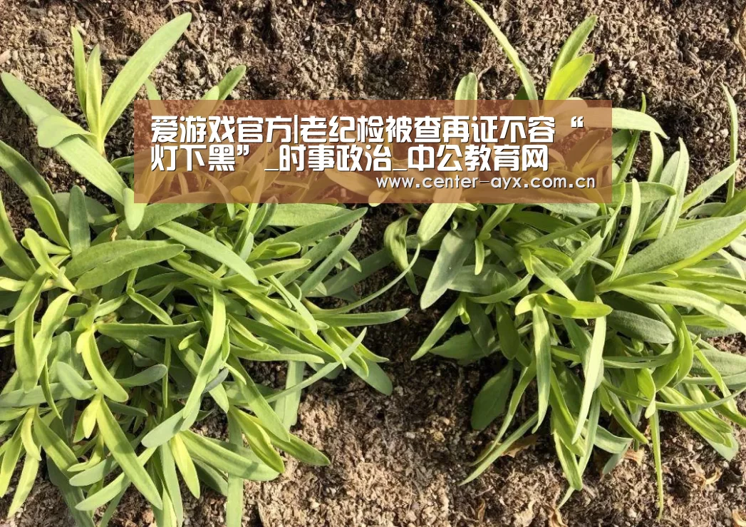 爱游戏官方|老纪检被查再证不容“灯下黑”_时事政治_中公教育网(图1) 爱游戏官网