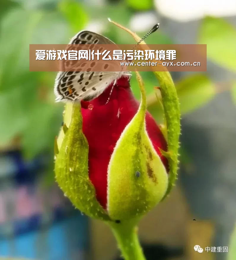 爱游戏官网