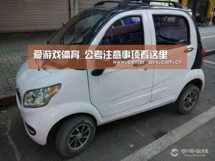 爱游戏体育
